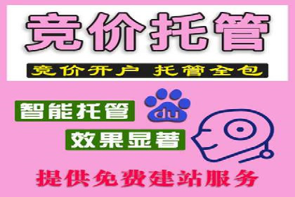 百度竞价运营实战技巧：案例分析与优化